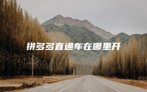 拼多多直通车在哪里开