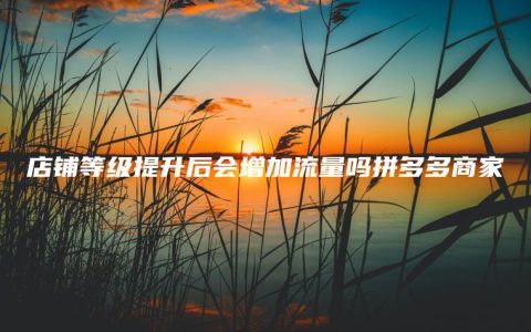 店铺等级提升后会增加流量吗拼多多商家