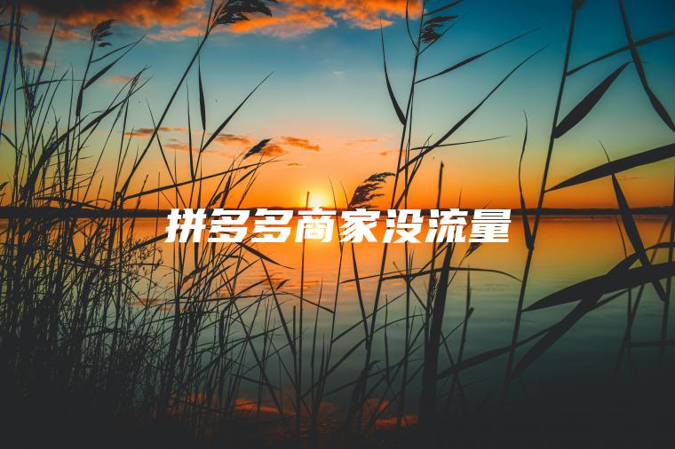 拼多多商家没流量