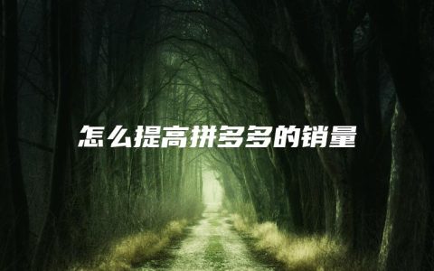 怎么提高拼多多的销量