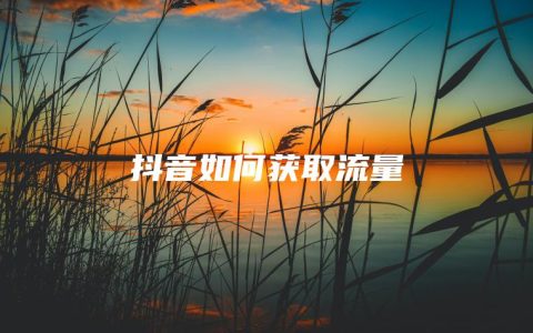 抖音如何获取流量