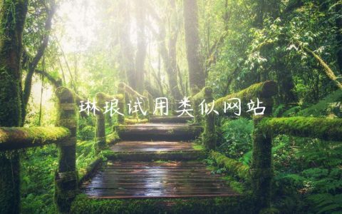 琳琅试用类似网站