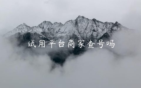 试用平台商家查号吗