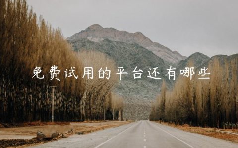 免费试用的平台还有哪些