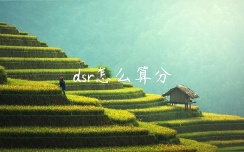 dsr怎么算分