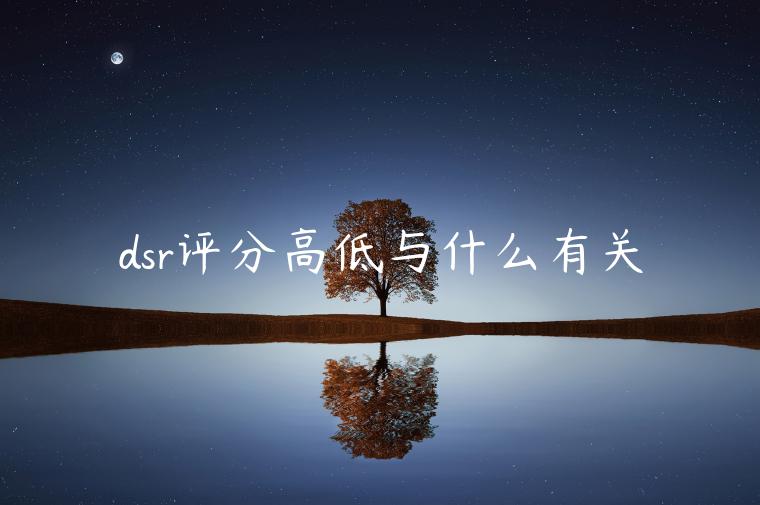 dsr评分高低与什么有关