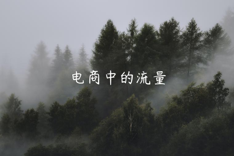 电商中的流量