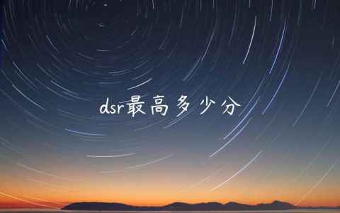 dsr最高多少分