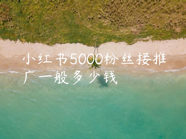 小红书5000粉丝接推广一般多少钱