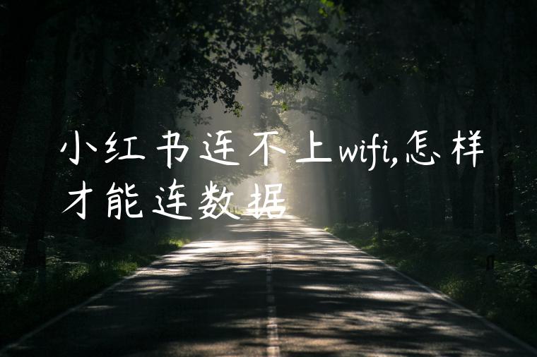 小红书连不上wifi,怎样才能连数据