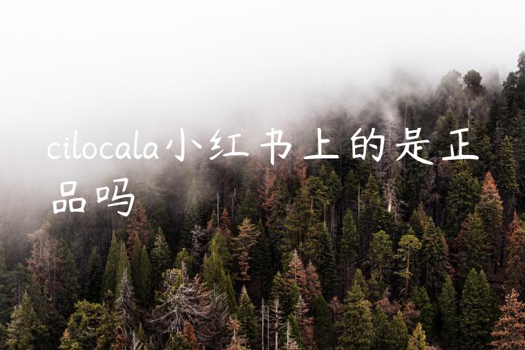 cilocala小红书上的是正品吗