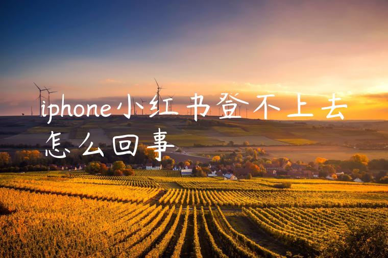 iphone小红书登不上去怎么回事