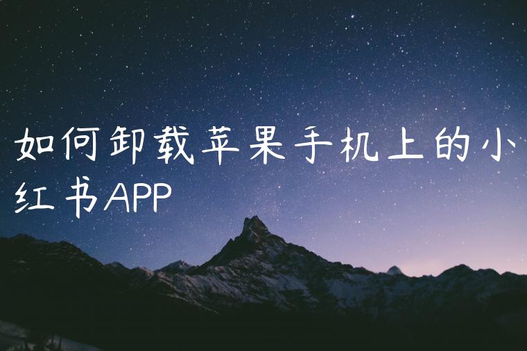 如何卸载苹果手机上的小红书APP