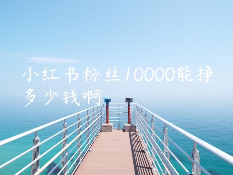 小红书粉丝10000能挣多少钱啊