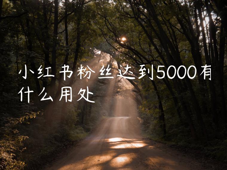 小红书粉丝达到5000有什么用处