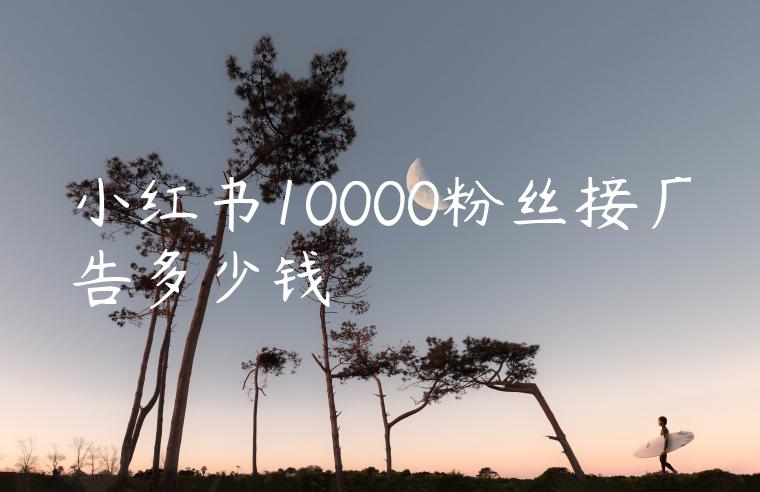 小红书10000粉丝接广告多少钱