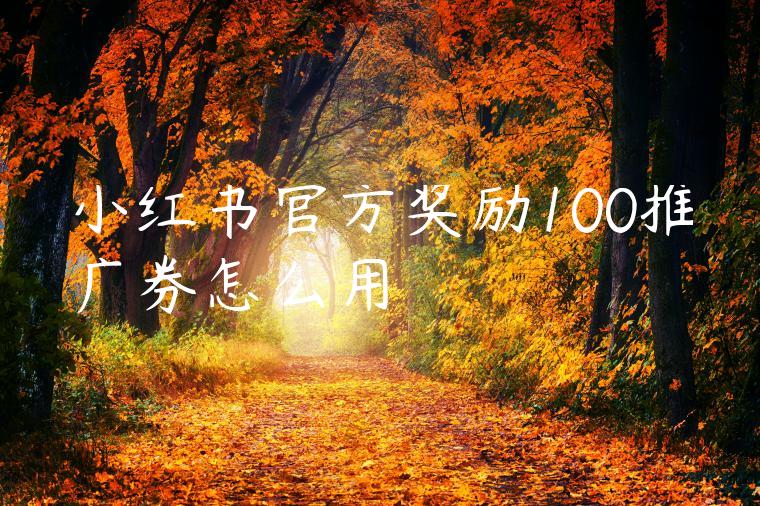 小红书官方奖励100推广券怎么用