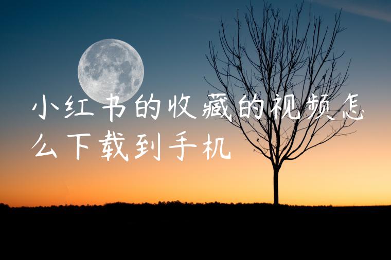 小红书的收藏的视频怎么下载到手机