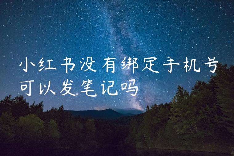 小红书没有绑定手机号可以发笔记吗