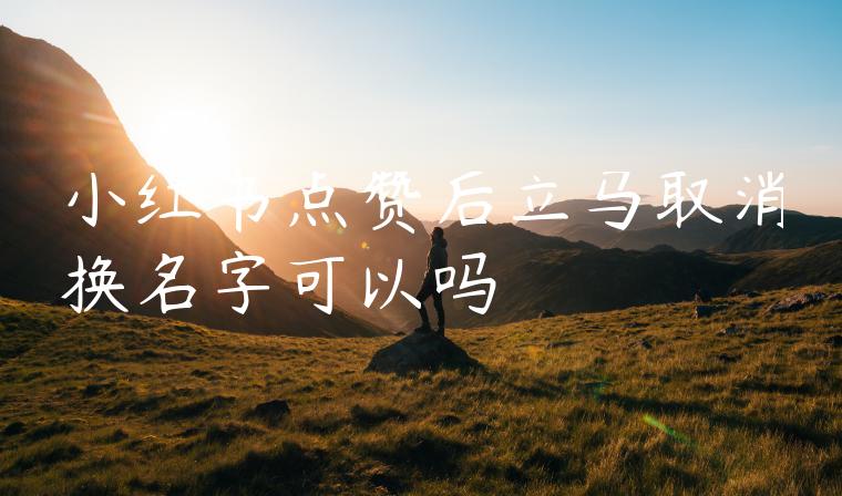 小红书点赞后立马取消换名字可以吗