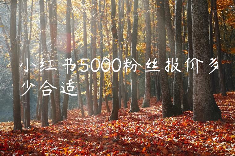 小红书5000粉丝报价多少合适