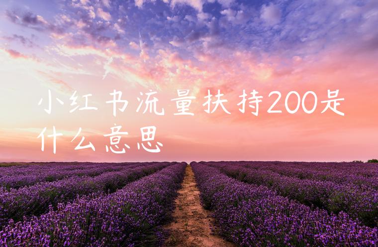 小红书流量扶持200是什么意思