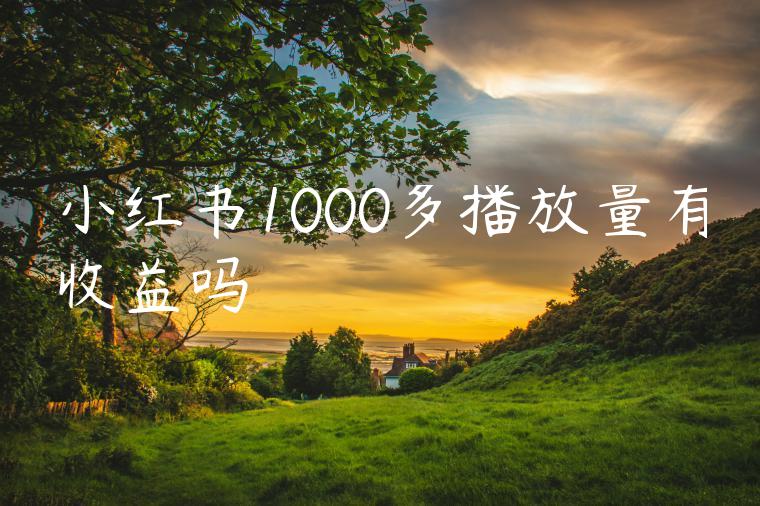 小红书1000多播放量有收益吗