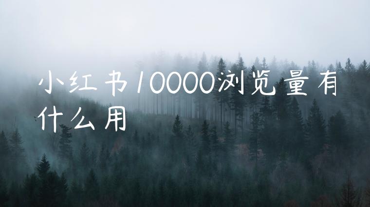 小红书10000浏览量有什么用