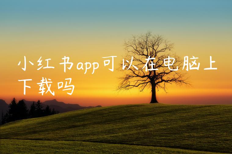 小红书app可以在电脑上下载吗