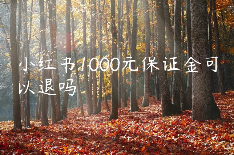 小红书1000元保证金可以退吗