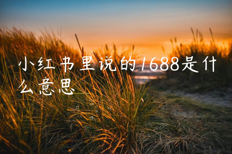 小红书里说的1688是什么意思