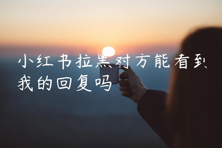 小红书拉黑对方能看到我的回复吗