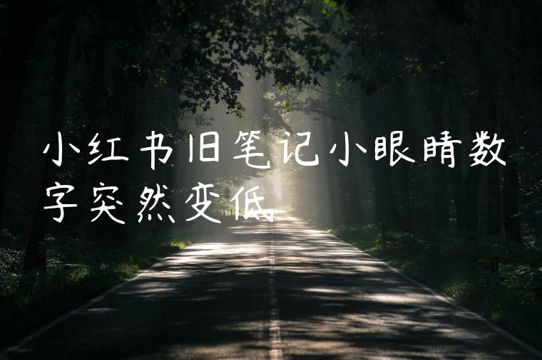 小红书旧笔记小眼睛数字突然变低