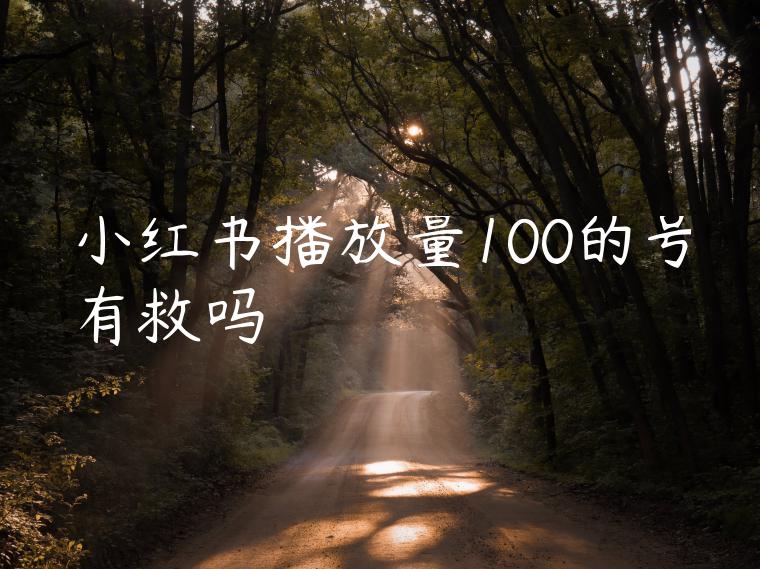 小红书播放量100的号有救吗