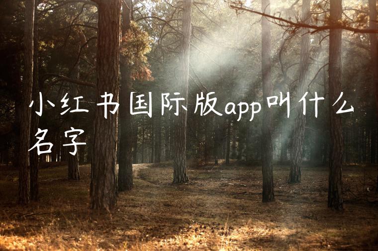 小红书国际版app叫什么名字