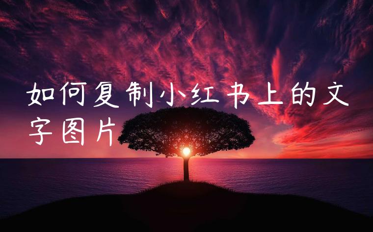 如何复制小红书上的文字图片