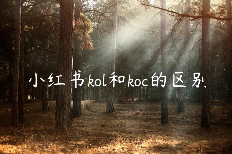 小红书kol和koc的区别