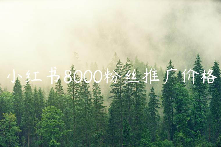 小红书8000粉丝推广价格