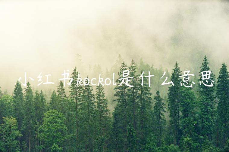 小红书kockol是什么意思