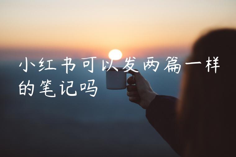 小红书可以发两篇一样的笔记吗