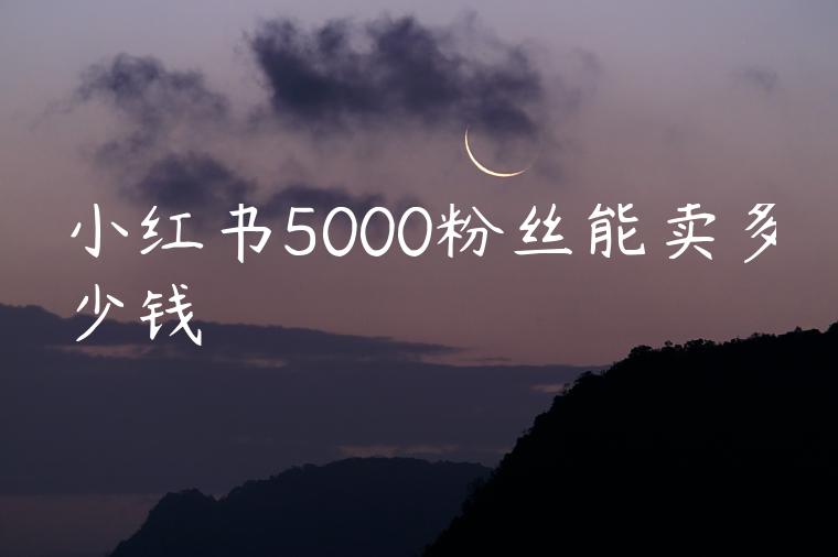 小红书5000粉丝能卖多少钱