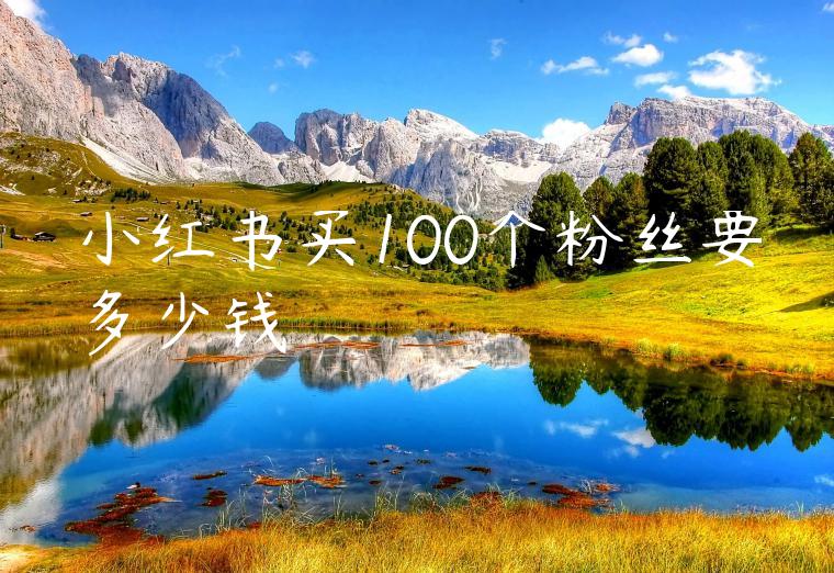 小红书买100个粉丝要多少钱