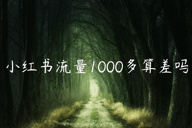 小红书流量1000多算差吗