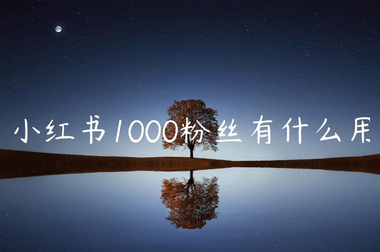 小红书1000粉丝有什么用