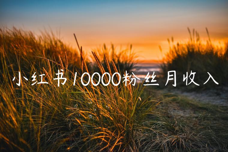 小红书10000粉丝月收入