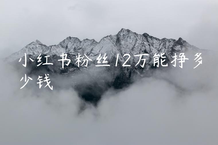 小红书粉丝12万能挣多少钱