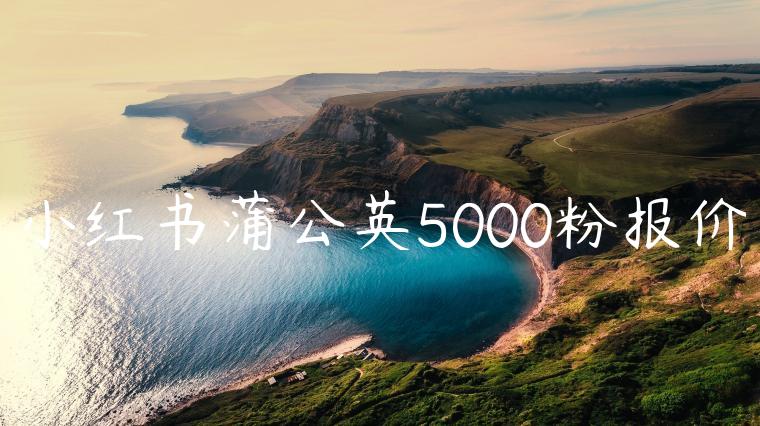 小红书蒲公英5000粉报价