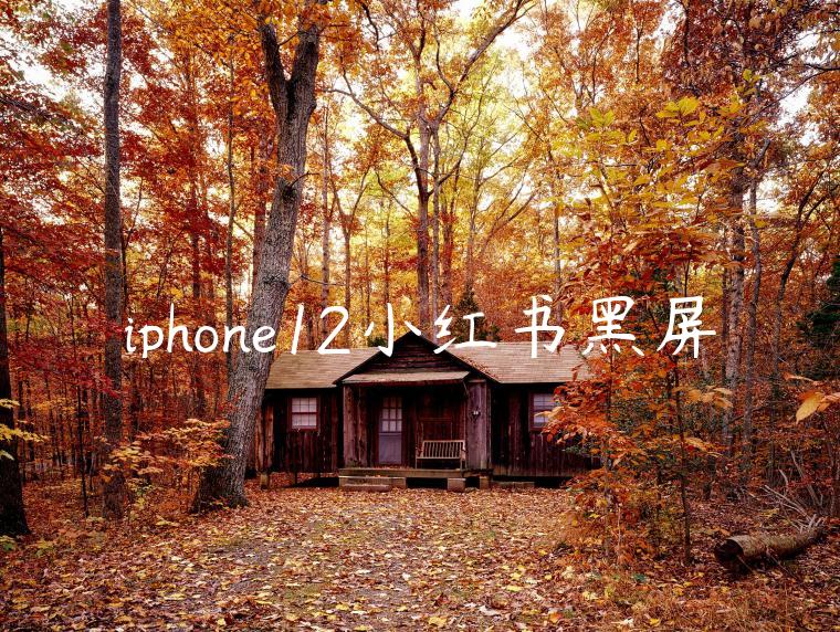 iphone12小红书黑屏