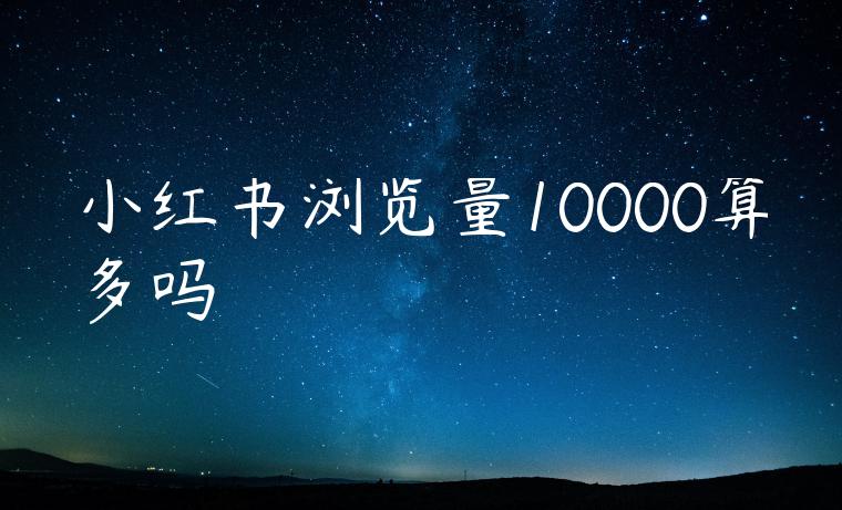 小红书浏览量10000算多吗