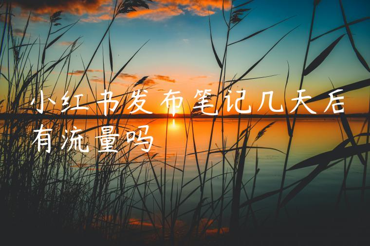 小红书发布笔记几天后有流量吗